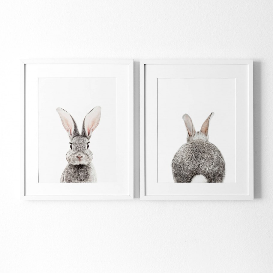 Постер кролик