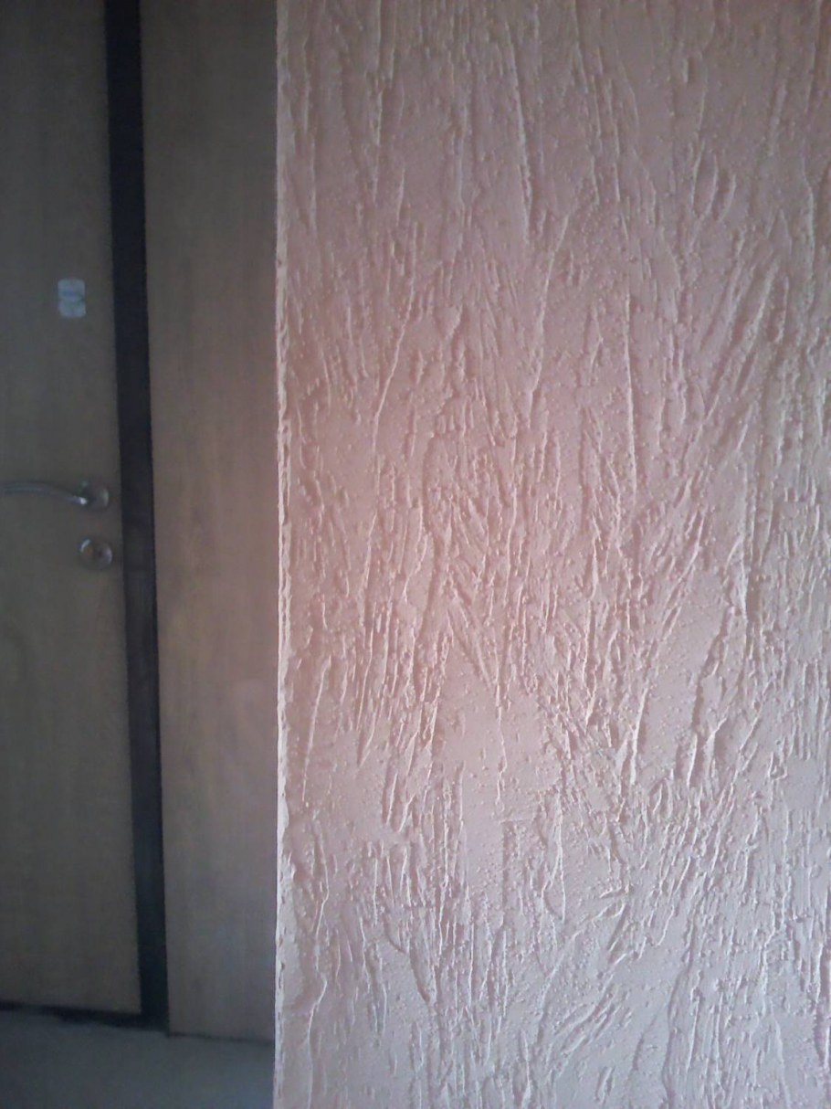 Эвекс короед