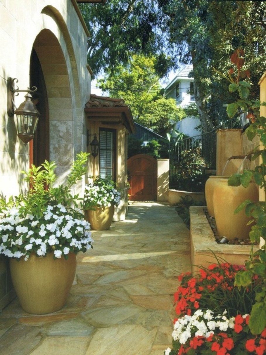 Лавандин в средиземноморском ландшафте