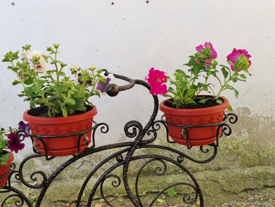 Цветочники короба