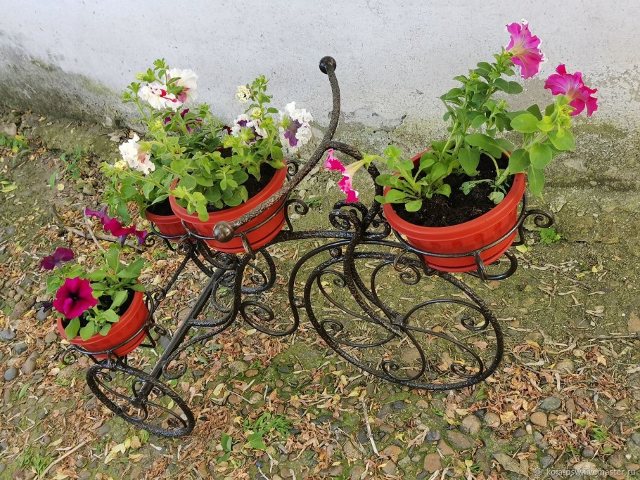 Цветочник Мюллер