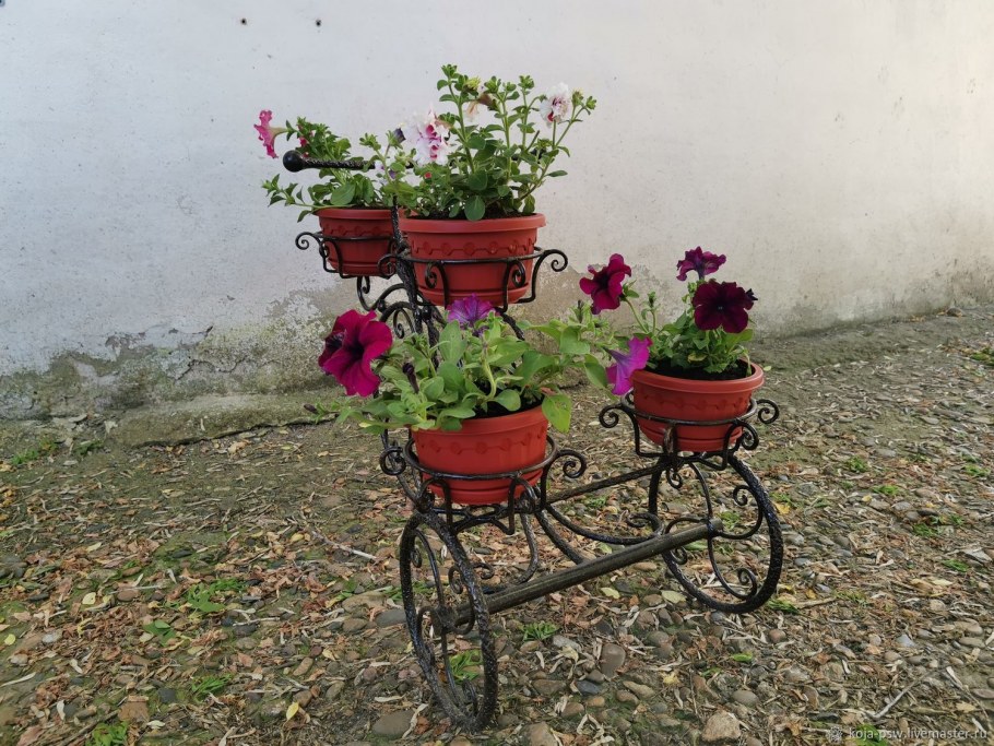 Цветочник Мюллер