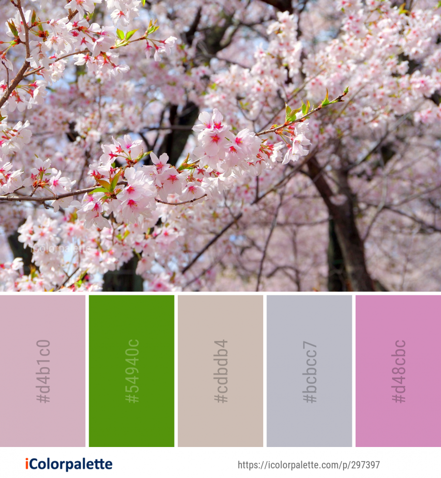 Цветовая палитра Сакура