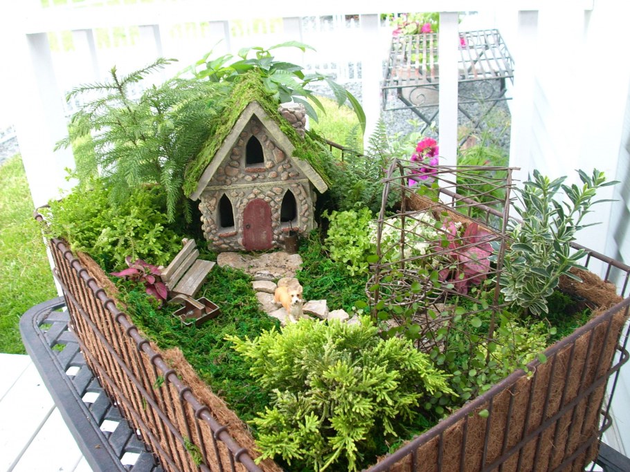 Декоративный сад на подоконнике