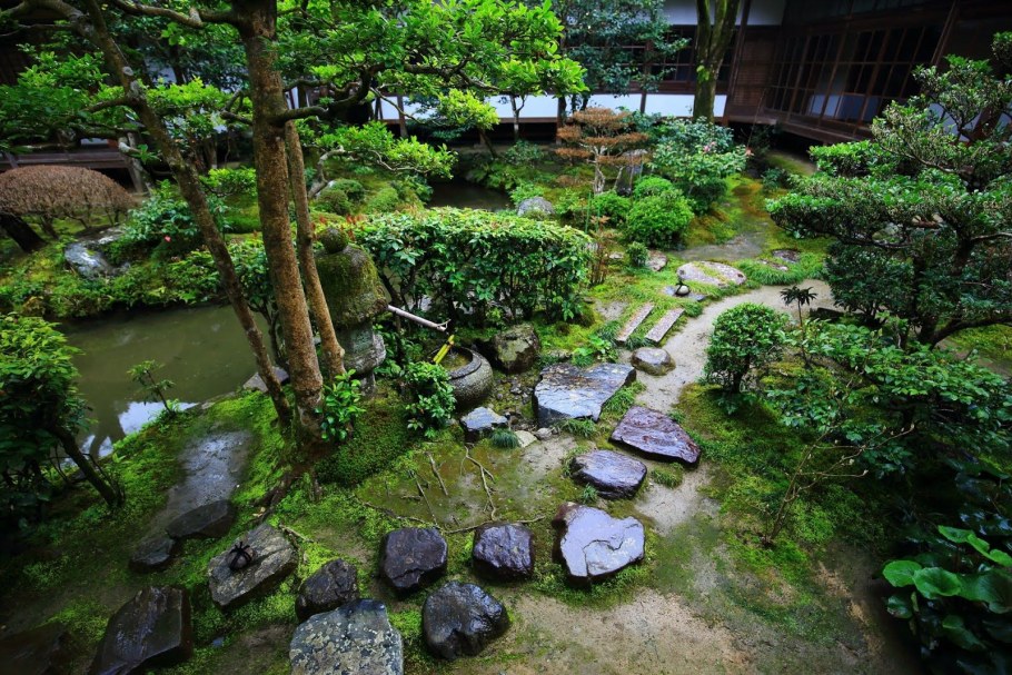 Хоста в японском саду