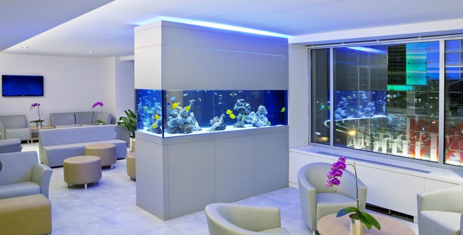 Аквариум в интерьере офиса