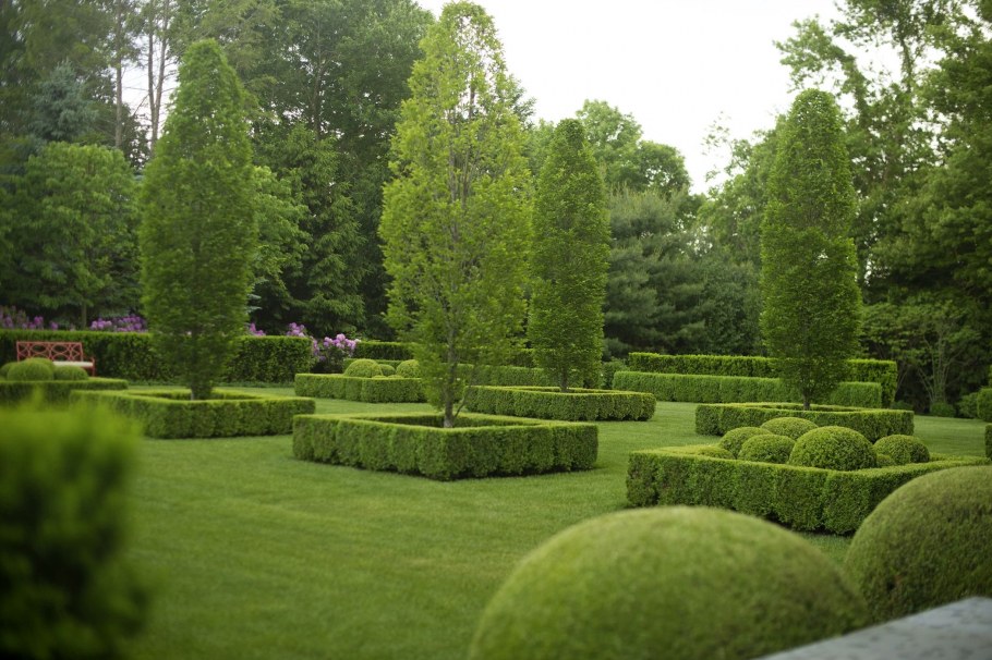 Стиль китайского сада Шига куин