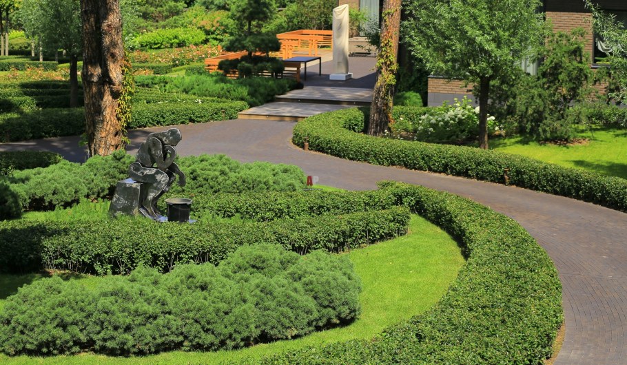 Солитер Ландшафтная архитектура