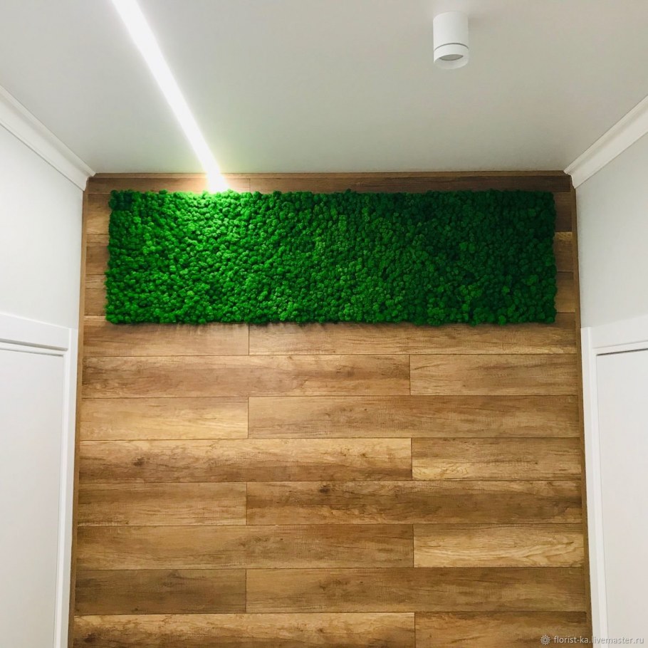 Панно из стабилизированного мха