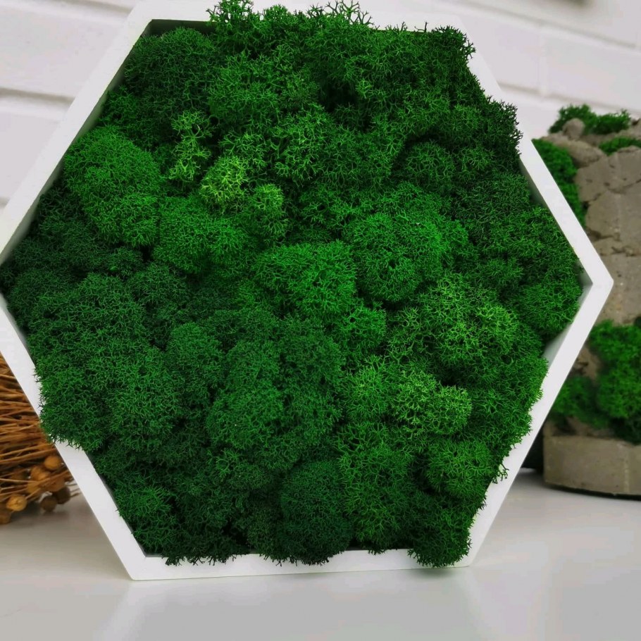 Коврик из стабилизированного мха