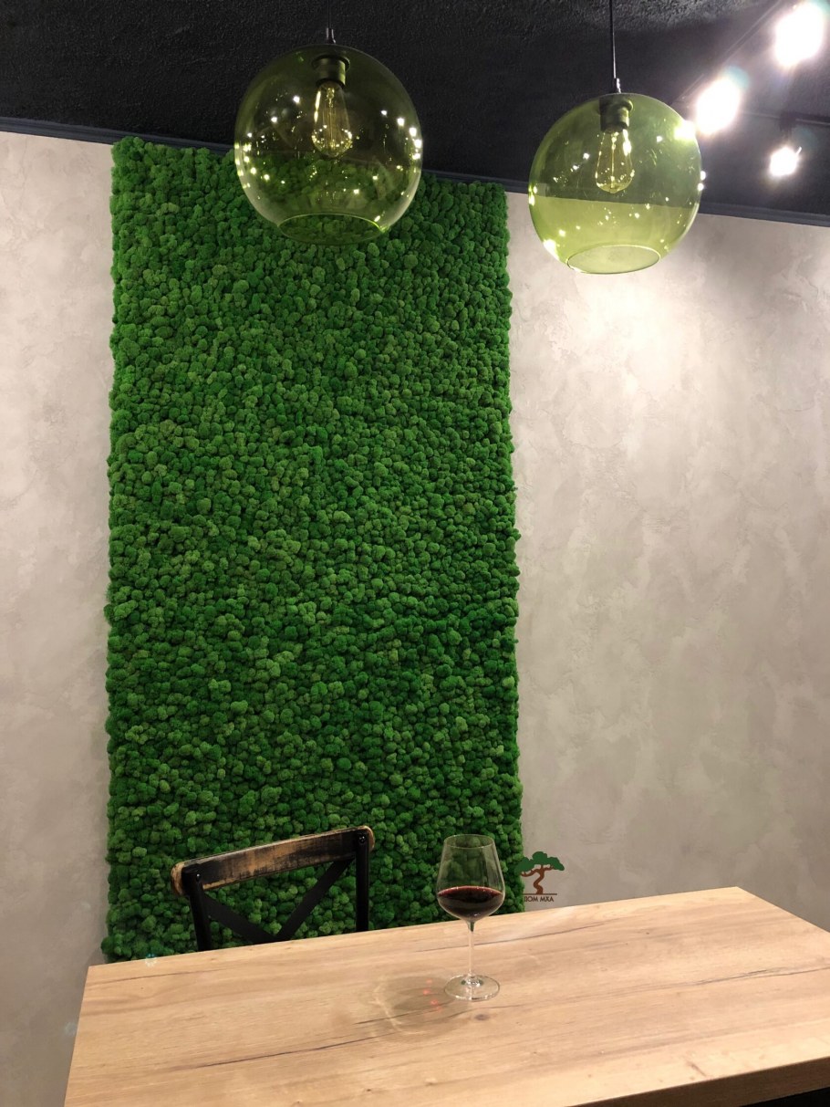 Стена из стабилизированного мха ягель