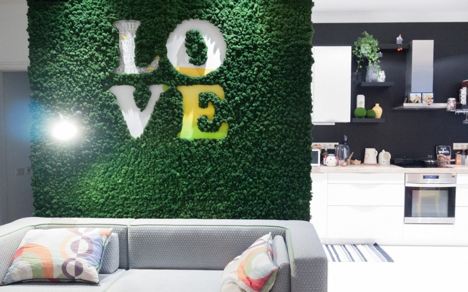 Мох ягель стабилизированный на стене