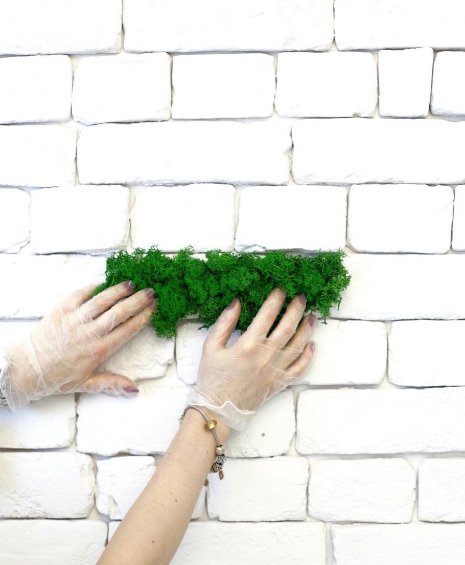 Лента из мха для озеленения интерьера