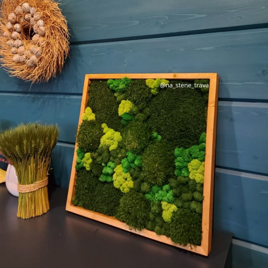 Стабилизированный мох фц4к