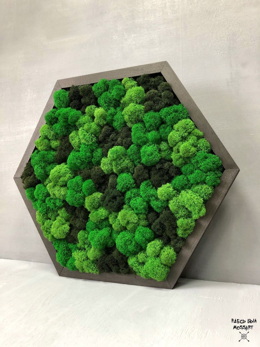 Декоративный мох