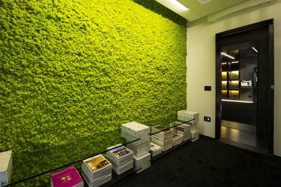 Панно из стабилизированного мха