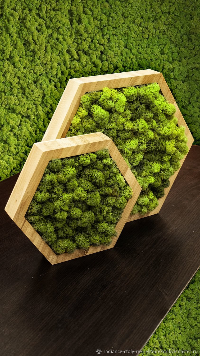 Стабилизированный мох в интерьере