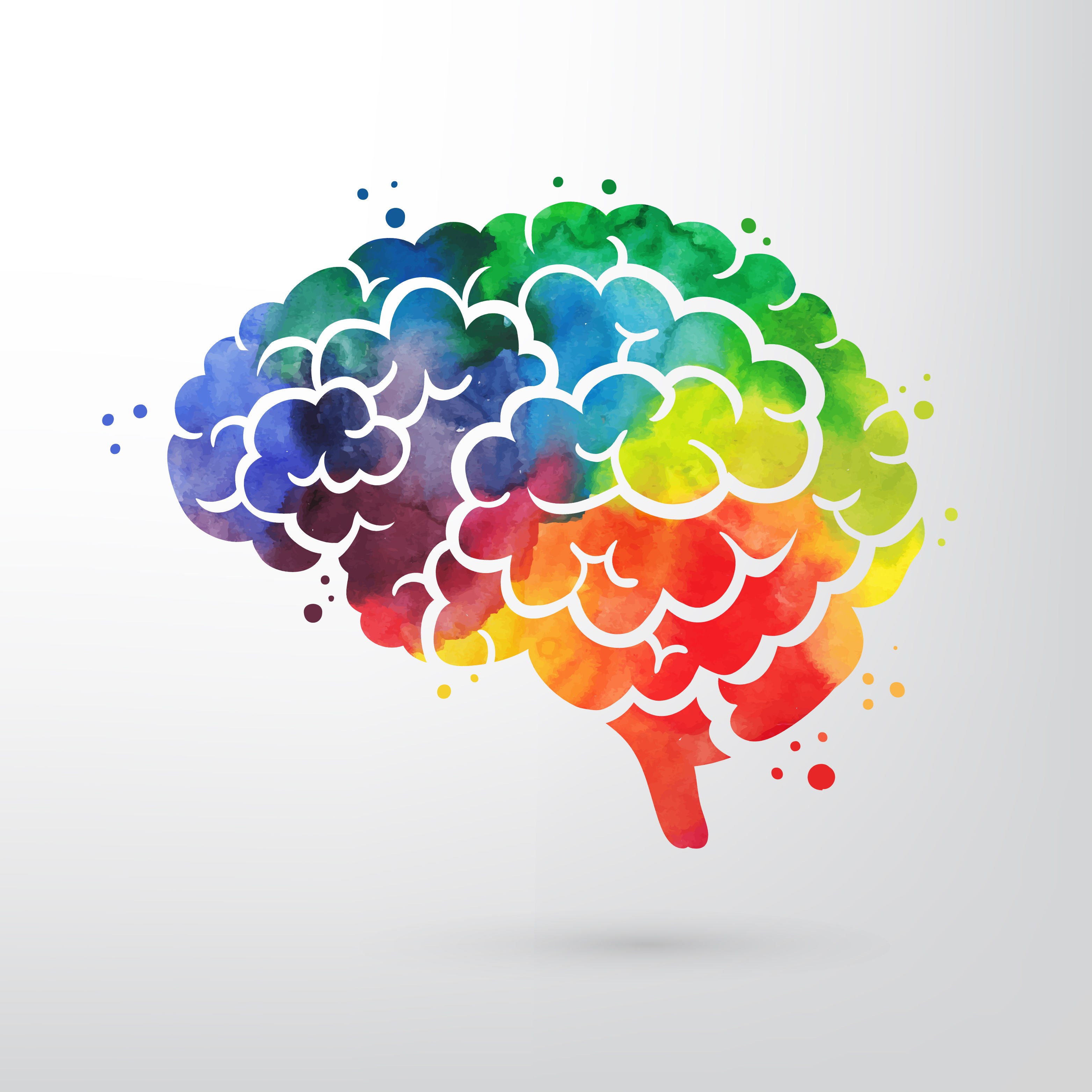 Colored brains. Цветной мозг. Красочный мозг. Креативность мозг. Векторные изображения цветные.