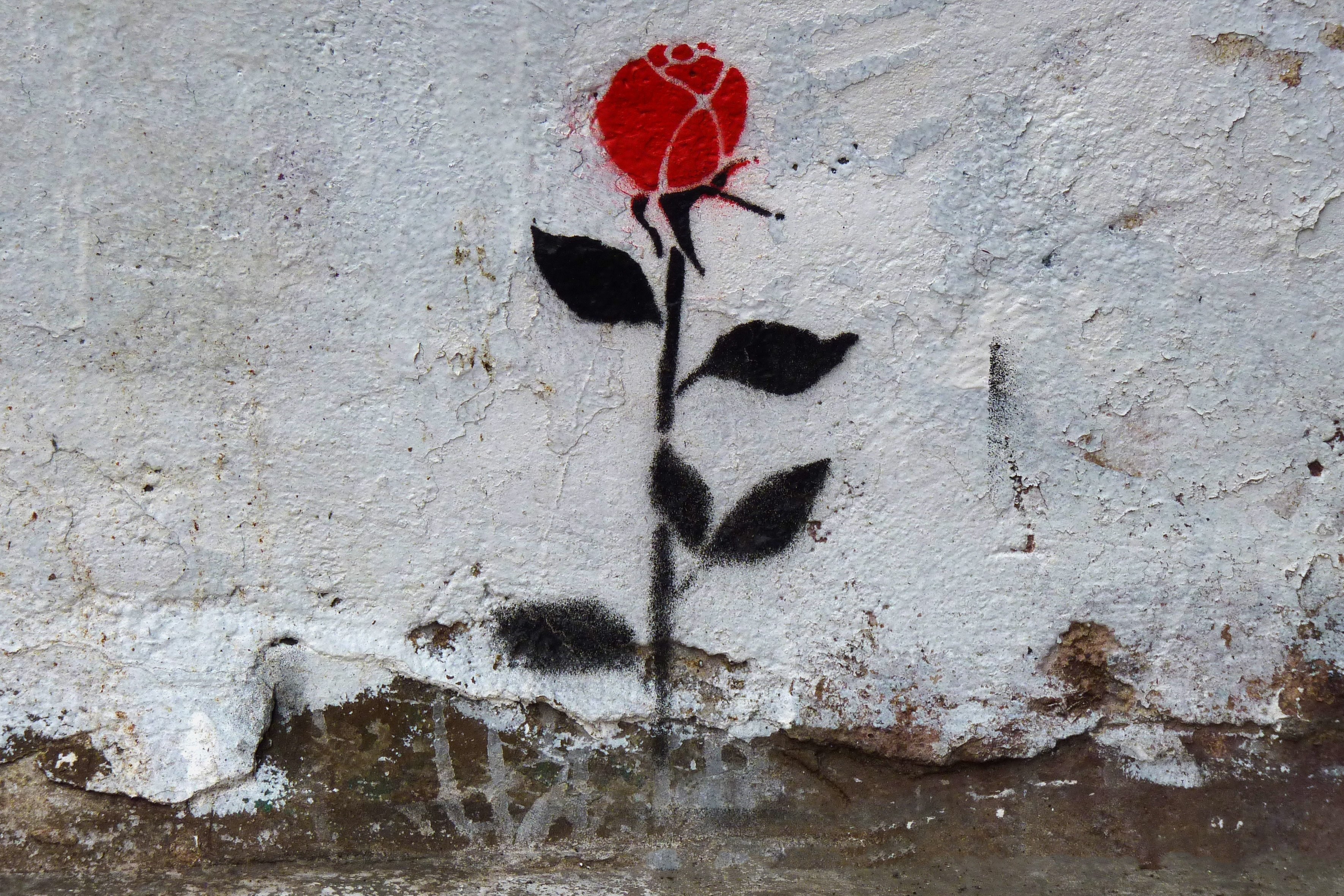 Роза граффити