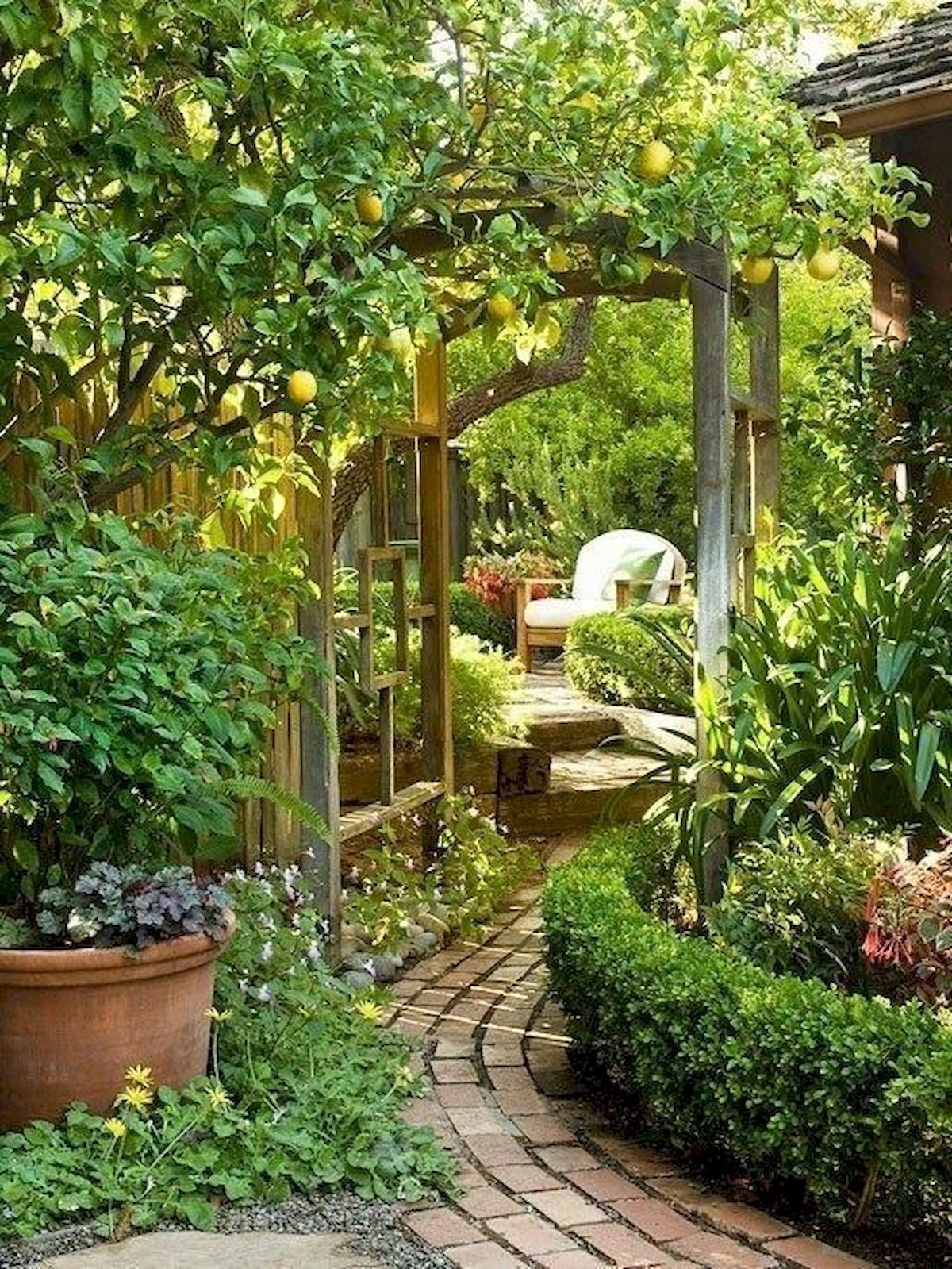 Уличная дача. Гарден сад Garden Sad. Обустройство сада. Красивый сад на даче. Уютный уголок в саду.