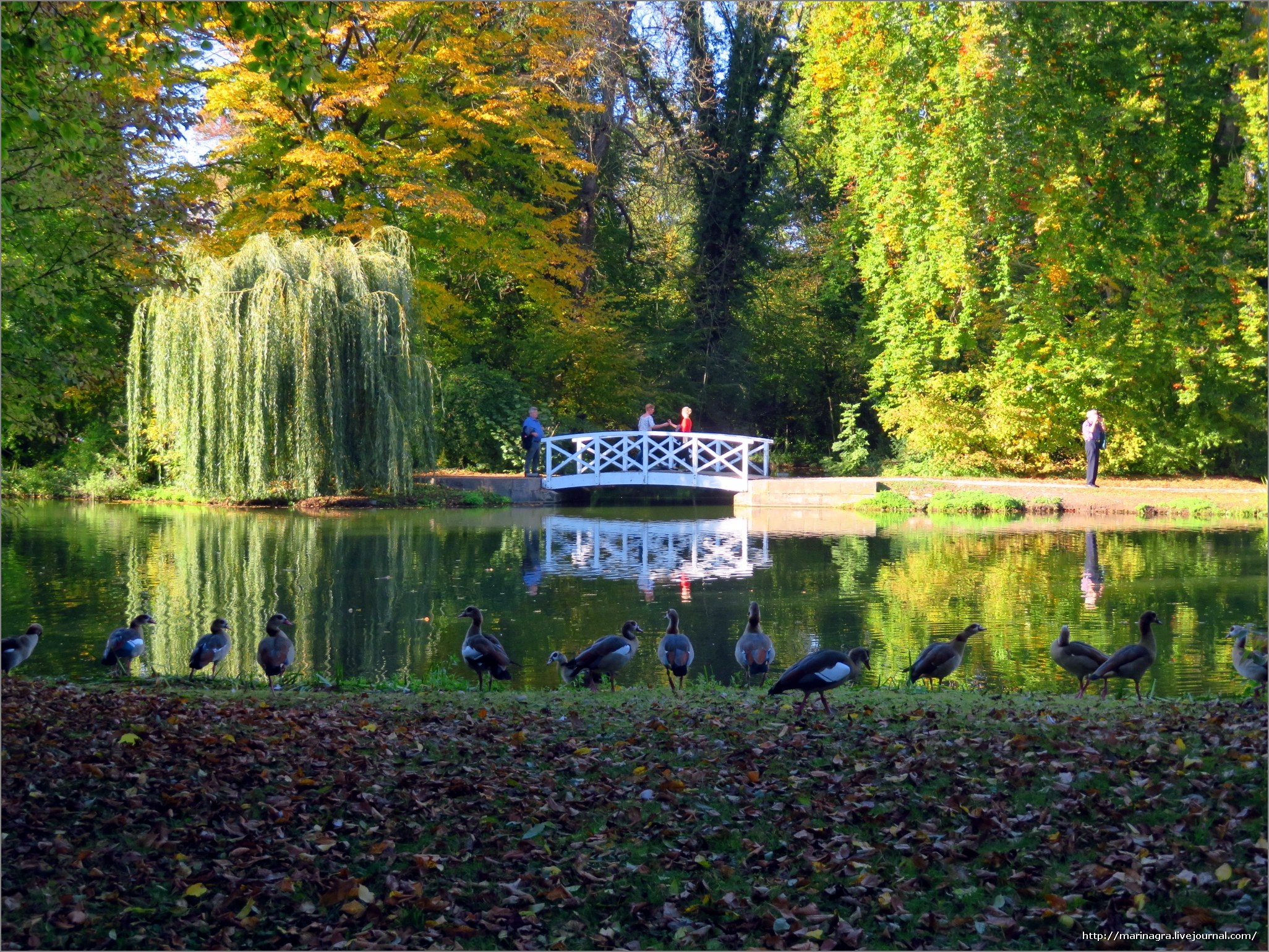 Английский парк картинки. Парк Стоурхед Англия. Английский сад пейзажный парк. Английский пейзажный парк Англия. Английский пейзажный парк 19 века.