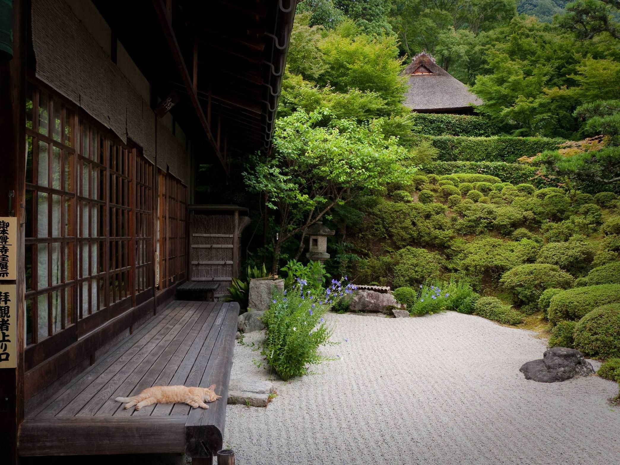 Your asia. Дзен сады в Киото. Сады Киото Япония. Сад камней в Киото. Сад хиранива в Японии.