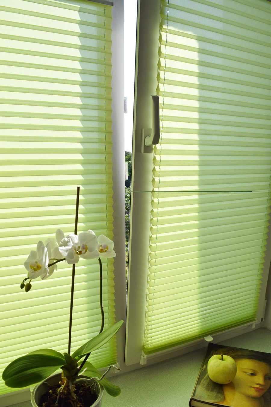 Штора плиссе Delfa "Basic transparent белый"