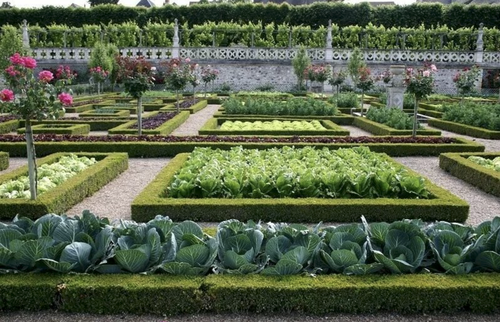 Примеры огорода. Вилландри овощные сады. Грядки-клумбы мавританский дворик. Овощной сад замка Вилландри. Красивый огород.