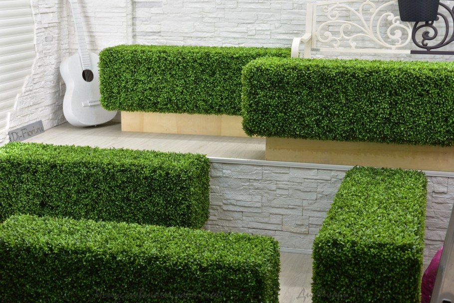 Живая изгородь из кизильника