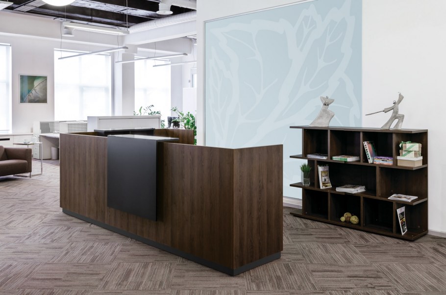 Рива Onix ресепшн