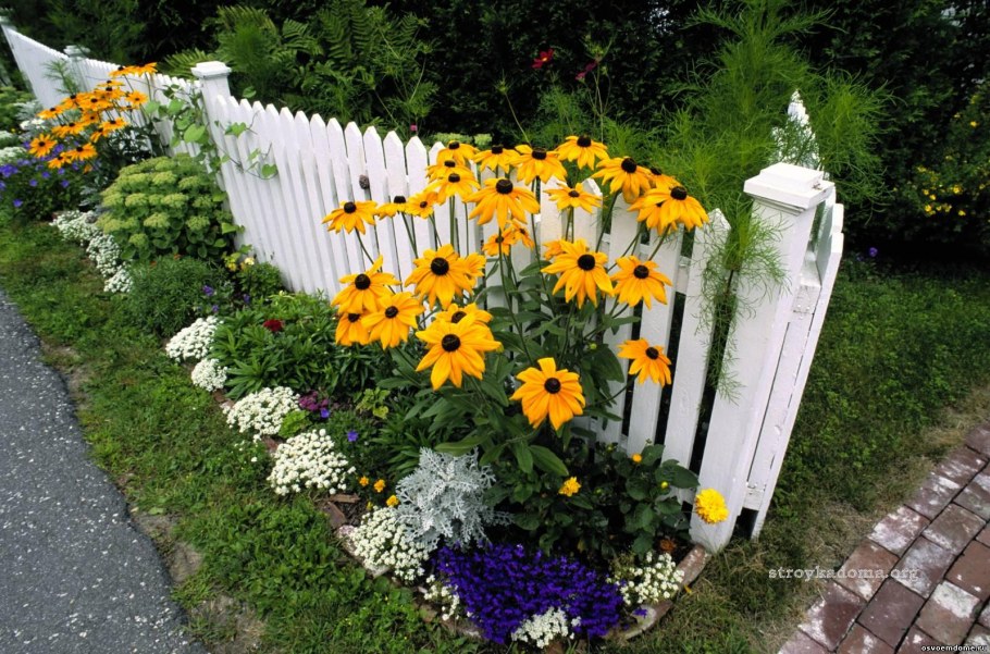 Рудбекия в ландшафтном дизайне