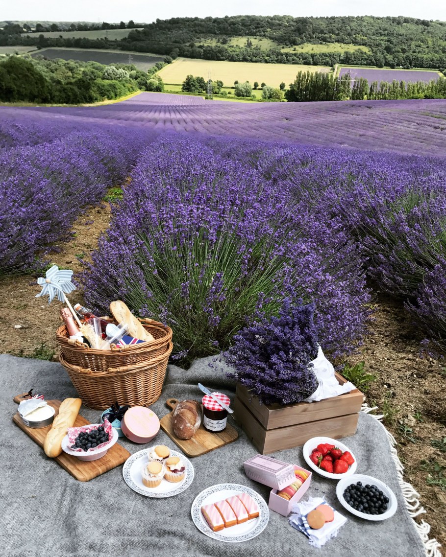 Лавандовый Прованс