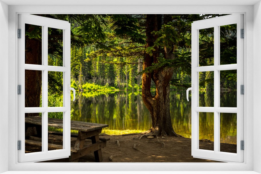 Окно в природу