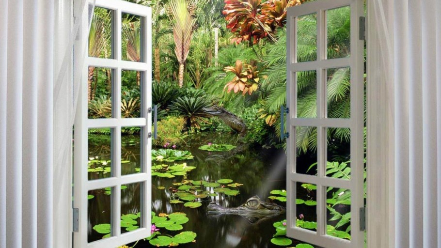 Окно в природу