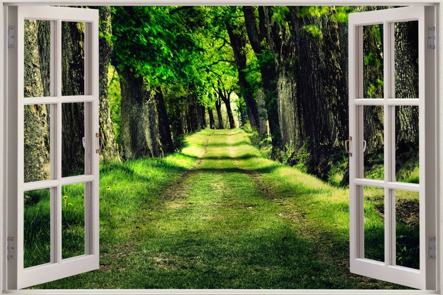 Окно с дверью на террасу