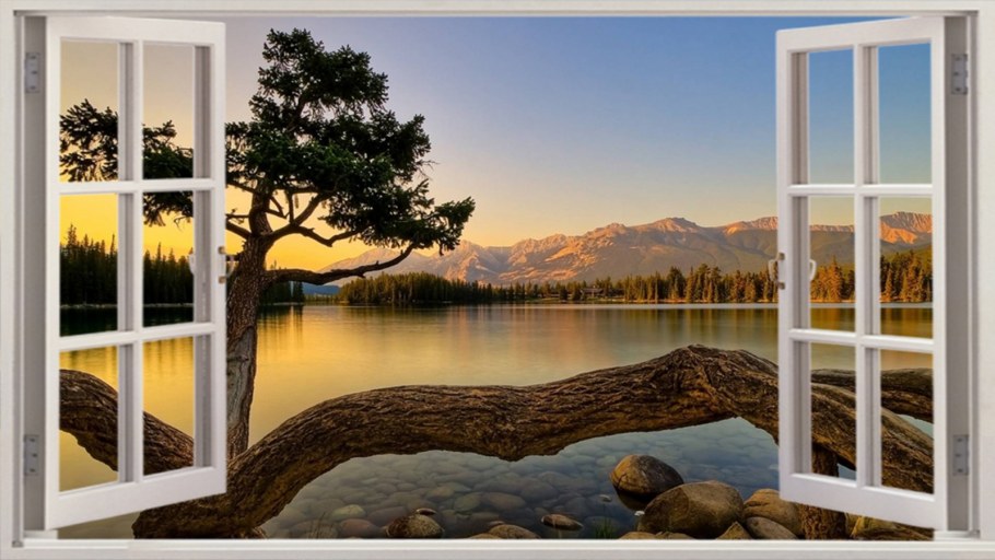 Окно с видом на природу