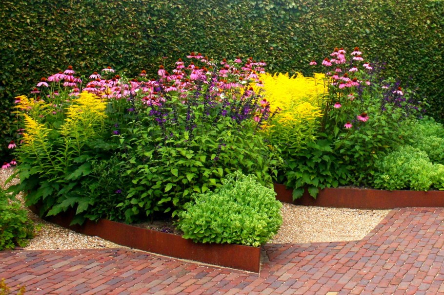 Миксбордер непрерывного цветения многолетников схема