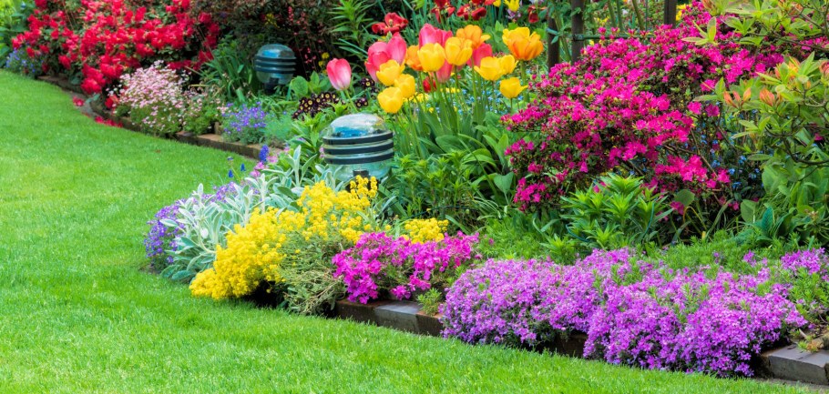 Луговой цветник миксбордеры