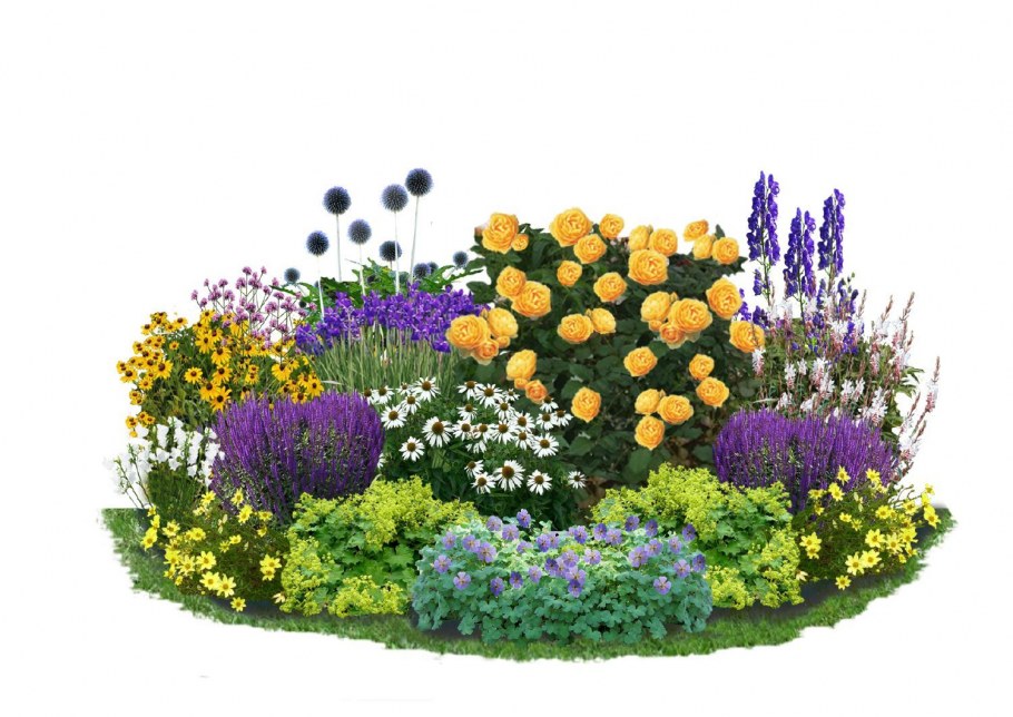 Крокосмия в миксбордере