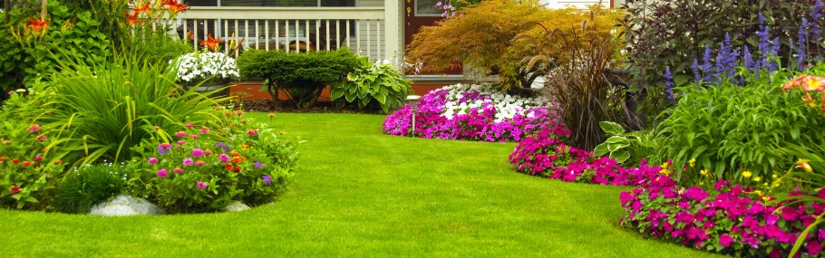 Татьяна Койсман цветники