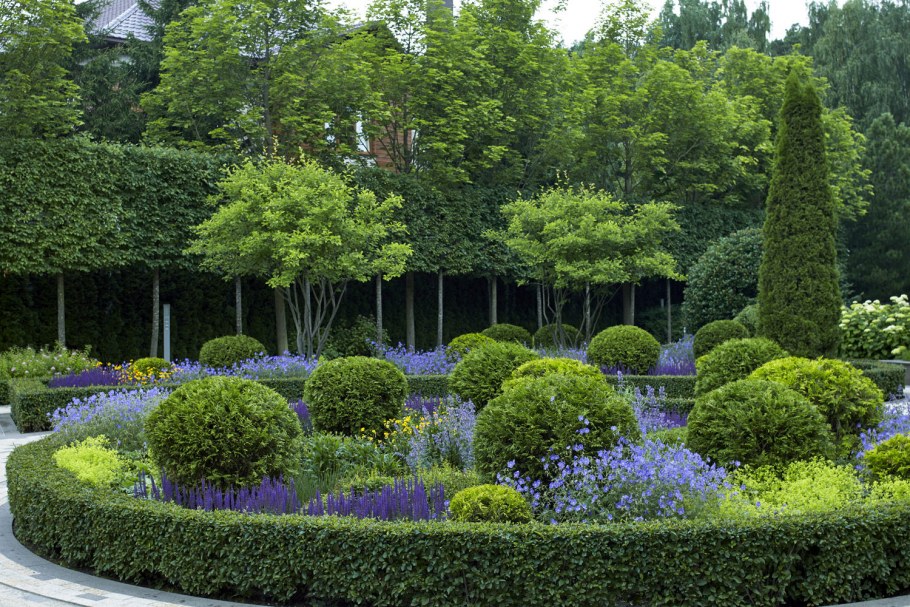 Живые изгороди Империал Гарден