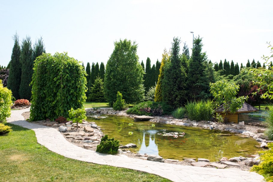 Владимир Колесник ландшафтный дизайнер