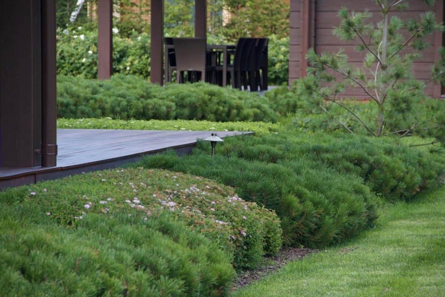 Arjan Boekel ландшафтный Архитектор