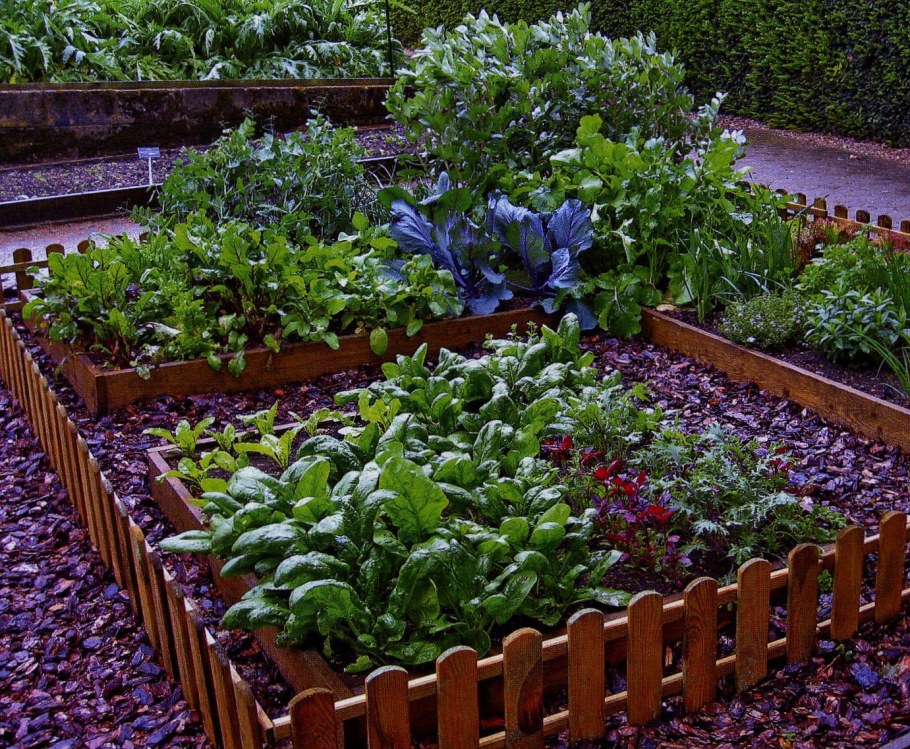 Приподнятые клумбы
