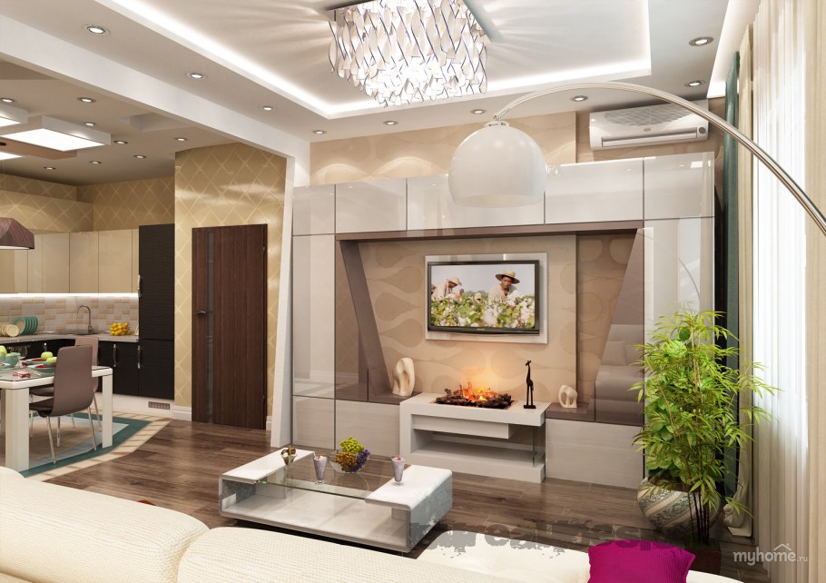 Гостиная с кухней и прихожей вместе