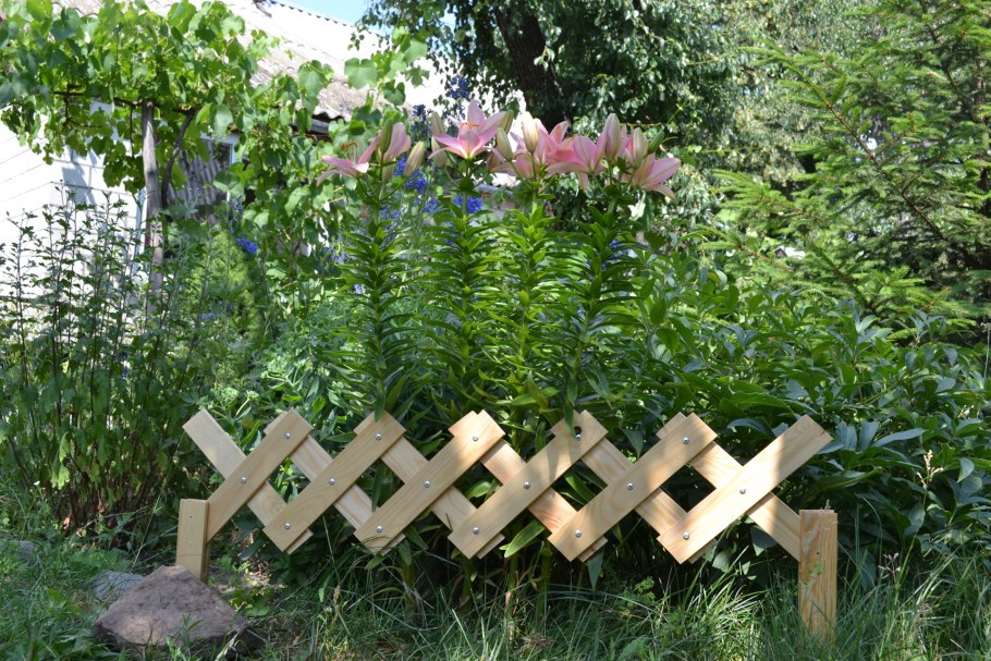 Декоративный маленький забор из досок