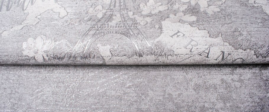 888901 Victoria Stenova Bonjour