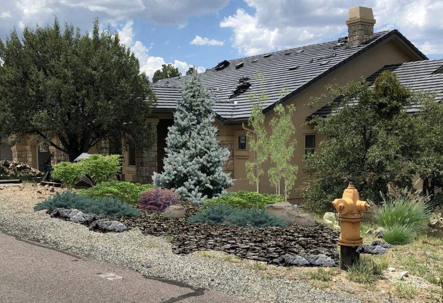 Куртины кустарников