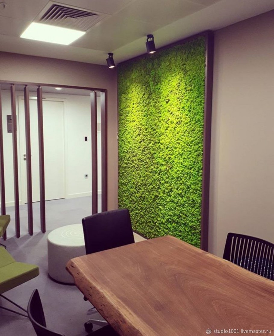 Стена из стабилизированного мха