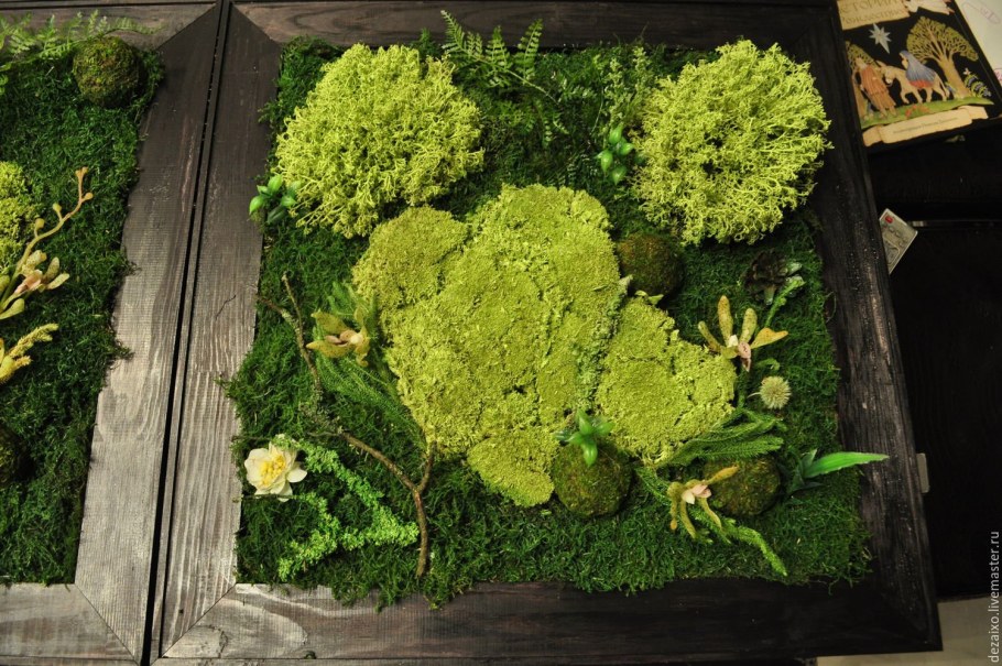 Фитостена мох стабилизированный